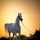 ���� �������, ������ - ��������� 7 ���� 2018 � ������ ��������