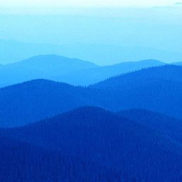 �/, ������, 40 ���