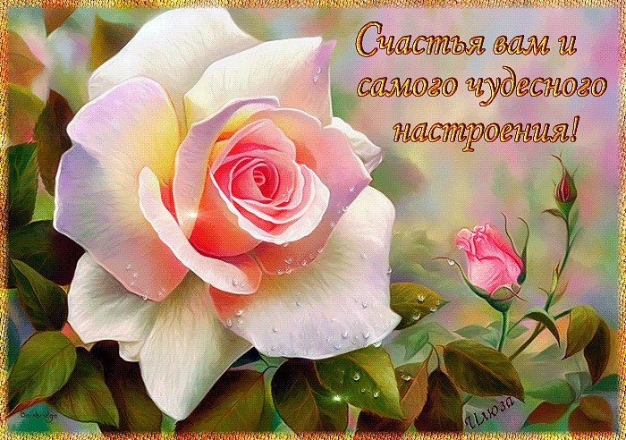    ,     ...     .. .,  ...