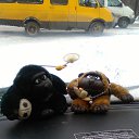 ���� ����, �����-��������� - ��������� 3 ����� 2018