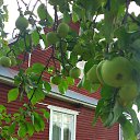 ���� �����, �����-���������, 57 ��� - ��������� 18 ���� 2018 � ������ ������������ ��������