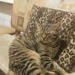 ���� ���������, ����� �������, 44 ���� - ��������� 25 ������ 2017