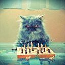 ���� ������, �����, 55 ��� - ��������� 23 ���� 2018 � ������ ������ ��������