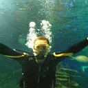 ���� �����, �����-���������, 37 ��� - ��������� 11 ������ 2018 � ������ ���� ����������