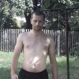 ����, ��������, 41 ���
