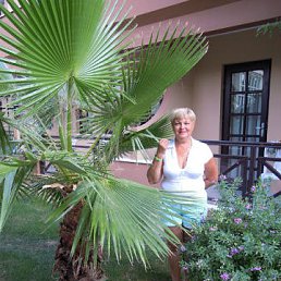 ������� ������, ������, 65 ���