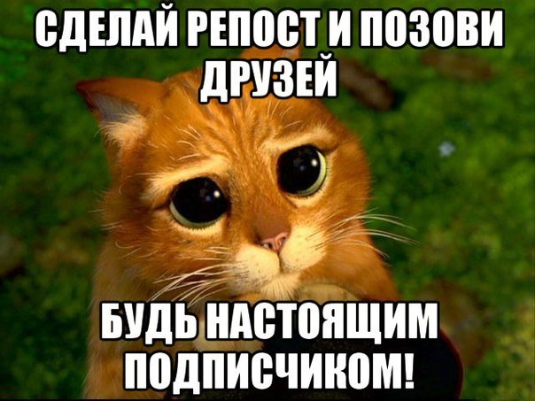 Приглашаю подписаться: <a href=