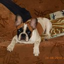 ���� ������, ��������, 48 ��� - ��������� 10 ������� 2017 � ������ �����!!!�