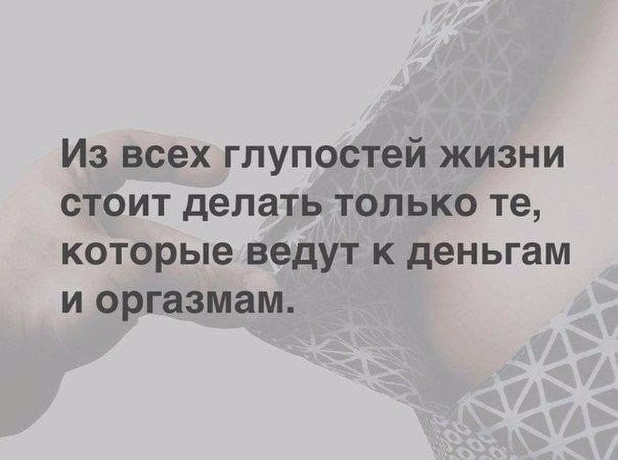 Вам делать это только в. Цитаты про глупость и жизнь. Цитаты про глупость. Глупости жизни.