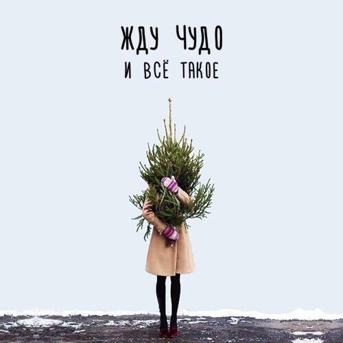 Мой. - 25 ноября 2017 в 06:18