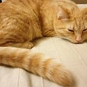 ���� ��, �����-��������� - ��������� 26 ������ 2018 � ������ ���� ��������