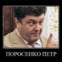 ���� ����, �����-���������, 51 ��� - ��������� 13 ���� 2018