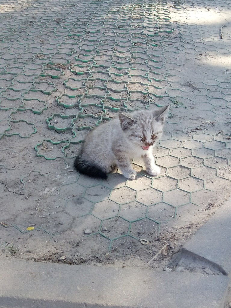 #_.       ,        ...