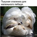  ,  -  25  2017    