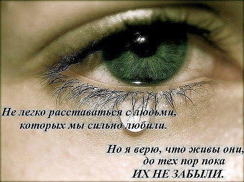 ������� - 7 ���� 2018 � 13:05