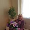 ���� �����, �����-���������, 58 ��� - ��������� 8 ��� 2018 � ������ ���� ����������