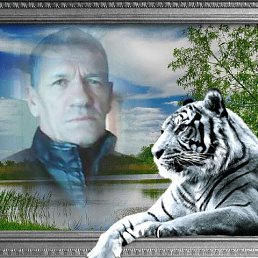 ��������, ���������