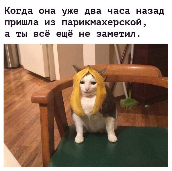  - 18  2018  02:51