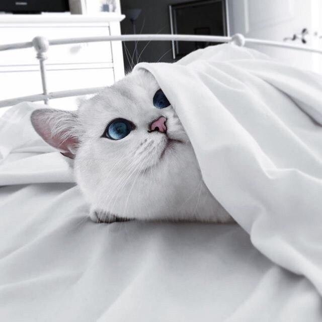 oo o!