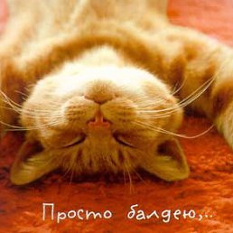 ���� Kolyan, ������ - ��������� 9 ������ 2018