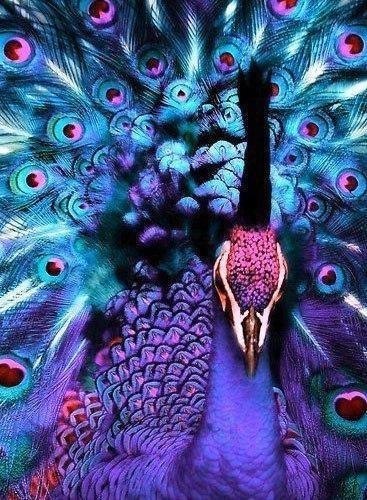 Чудо природы - 6