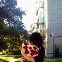 ���� ����, ������ ��������, 51 ��� - ��������� 20 ��� 2018 � ������ ���� ����������