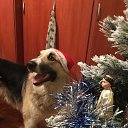 ���� ������, ������, 57 ��� - ��������� 1 ���� 2018 � ������ ���� ����������