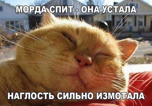 ��� ���� - 11 ��� 2018 � 21:15