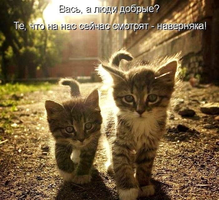  - , ...      :        ...