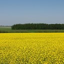 ���� ����, �����, 57 ��� - ��������� 8 ������� 2017 � ������ ���� ����������