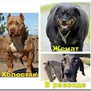 ���� ������������, ����� - ��������� 16 ��� 2018 � ������ ���� ����������