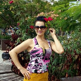 �����, ������ ���, 56 ���