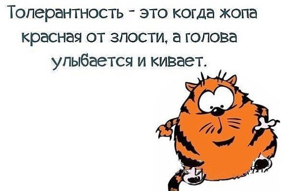 Толерантность это когда. Анекдоты про злость. Толерантность это когда умные. Картинки толерантность это когда задница дымится.