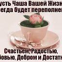 ���� �����, ����� - ��������� 7 ��� 2018 � ������ ������ ��������