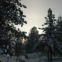 ���� �������������, �����, 53 ���� - ��������� 28 ���� 2018
