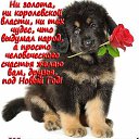 ���� ���������, ���������, 67 ��� - ��������� 31 ������� 2017