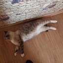 5�� �� ������� ���� ����������