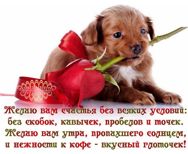 Мне бы спрятаться от вечной суеты, Которая бывает нестерпимой... Сжечь за собой прогнившие мосты... ...