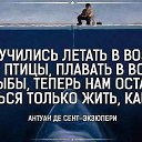 ���� ����, ������ - ��������� 27 ������� 2017 � ������ ������ ��������