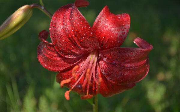      . ..  .        ... - 2