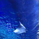 ���� Lidiya, ������, 62 ���� - ��������� 12 ����� 2018 � ������ ���� ����������