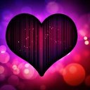 ���� �����, �����������, 31 ��� - ��������� 19 ����� 2018 � ������ ���� ����������