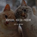 ���� �������, ������ - ��������� 6 ����� 2018 � ������ ������ ��������