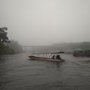 ���� �� ���� ���� �� ������� ���� ����������