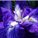 ���� �, �������� - ��������� 12 ������ 2018 � ������ ���� ����������