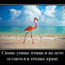 ���� ����, �����������-��-�����, 51 ��� - ��������� 9 ������� 2017 � ������ ������ ��������