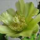 ���� ���������, ���������, 50 ��� - ��������� 20 ������ 2018 � ������ ������ ��������