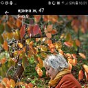 ���� �����, ����-���������, 62 ���� - ��������� 23 ����� 2018 � ������ ���� ����������