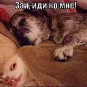 ���� Elena, �����-��������� - ��������� 17 ���� 2018 � ������ ������ ��������