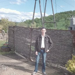 ���� �����, �����������, 49 ��� - ��������� 8 ����� 2018